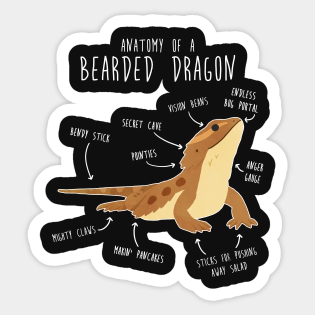 Anatomy of a Bearded Dragon Sticker by Psitta